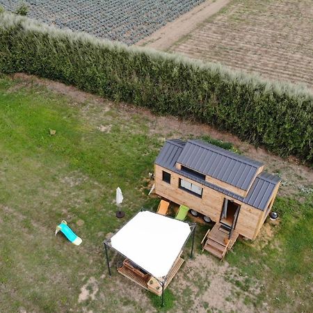 Tiny House Sur La Presqu'Ile Sauvage Hotel Lanmodez Kültér fotó